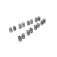 Tomei Type A Valve Spring Set - Nissan SR20