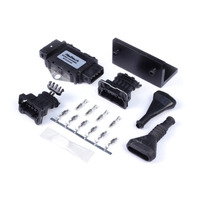 Quad Channel OEM Igniter (DUMB)