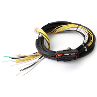 HPI - High Power Igniter - 15 Amp Eight Channel Flying Lead Loom Only
