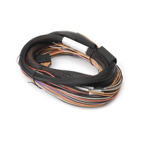 IO 12 Expander - 12 Channel with Flying Lead Harness Kit (CAN ID - Box B)