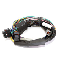 Elite 2500 + Basic Universal Wire-in Harness Kit Length: 2.5m (8')