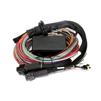 Haltech Elite 2500 ECU With 2.5m Premium Universal Wire-in Harness Kit