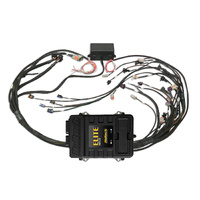 Elite 2500 + GM GEN III LS1 & LS6 non DBW Terminated Harness Kit