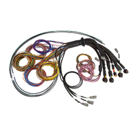 NEXUS R5 Universal Wire-In harness