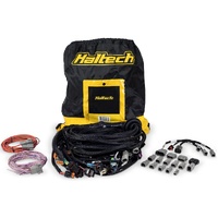 Nexus R5 LSx DBW Terminated Harness - DBW ready