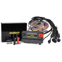 Haltech NEXUS R5 + Universal Wire-in Harness Kit - 5M / 16' Length: 5m (16') 