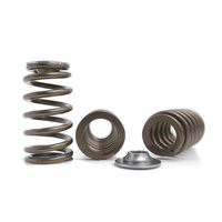 Kelford Valve Springs KVS40-K Ford Barra XR6