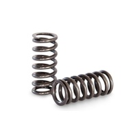 Kelford Valve Springs- Toyota 4AGE 20V Black & Silver