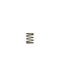 GenV WG45/50 3psi Orange Inner Spring