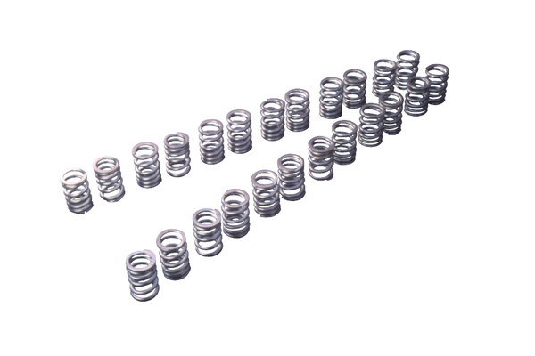 Tomei Type A Valve Spring Set - Nissan RB20 / VG30