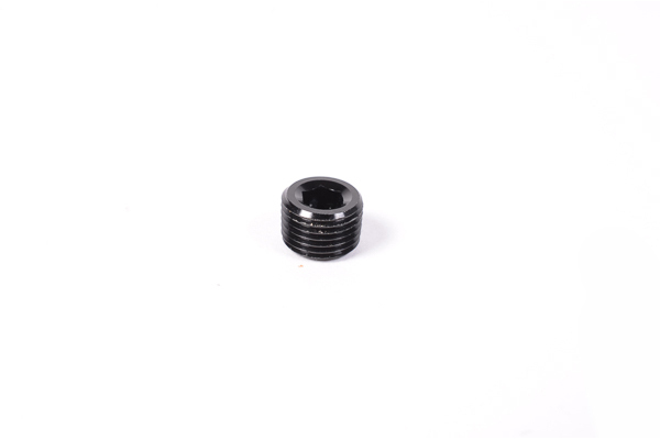 Radium 1/8" NPT Round Internal Hex Plug