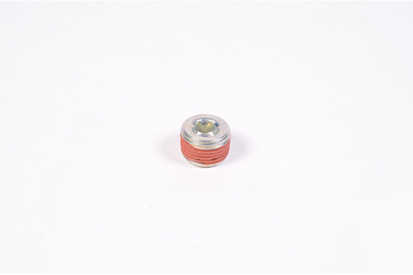 Radium 3/8" NPT Round Internal Hex Plug