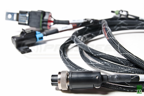 Radium Universal Fuel Surge Tank Wiring Harness - Fully Populated