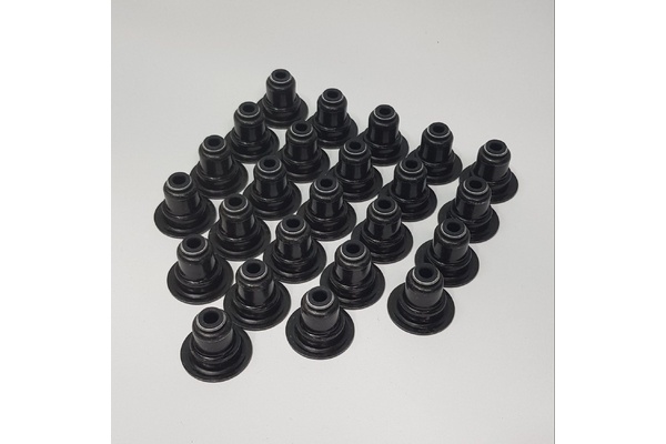 Atomic BA-FGX Falcon & Territory Barra Low Profile Valve Stem Seal Set