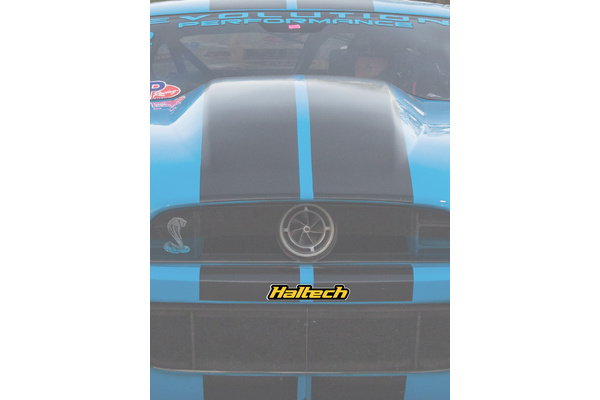 Haltech Logo Colour Sticker