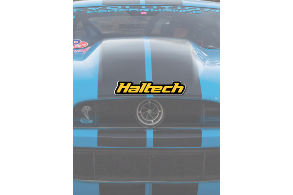 Haltech Logo Colour Sticker