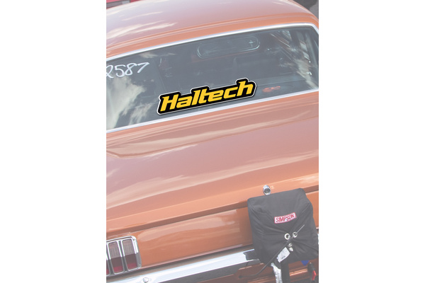 Haltech Logo Colour Sticker - Yellow