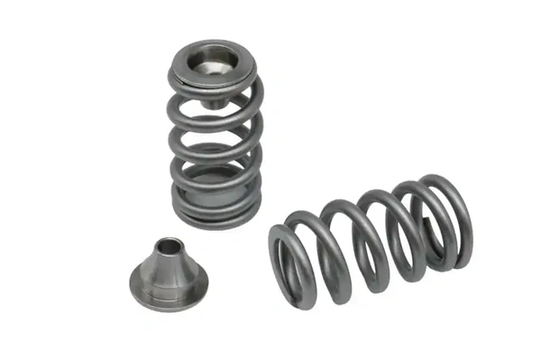 Kelford Cams KVS236-BT | Rotax 900 ACE Beehive Springs