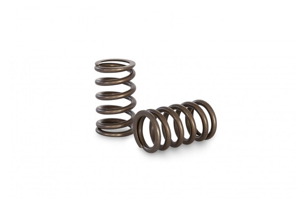 Kelford Valve Spring Set - Nissan RB25 NEO