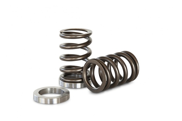 Kelford Valve Spring  Set - Nissan RB25 NVCS