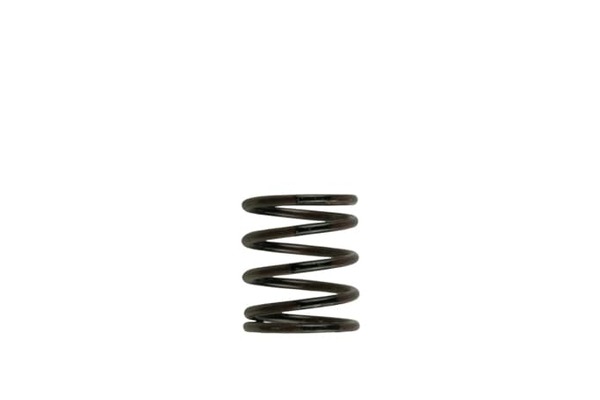 Gen4 / IWG WG38/40/45/50L 3PSI INNER SPRING - BROWN/BLACK