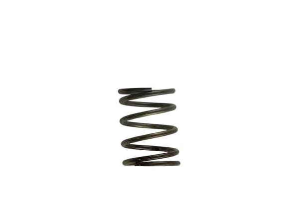 Gen4 / IWG WG38/40/45/50L 5PSI INNER SPRING - BROWN/GREY