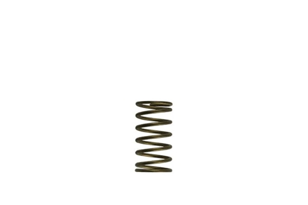 GenV WG60 3psi Inner Spring