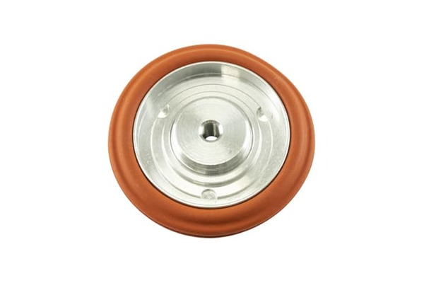 IWG75 TP Diaphragm Assembly Replacement