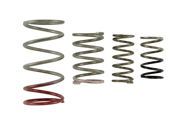 GenV IWG Spring Replacement Kit